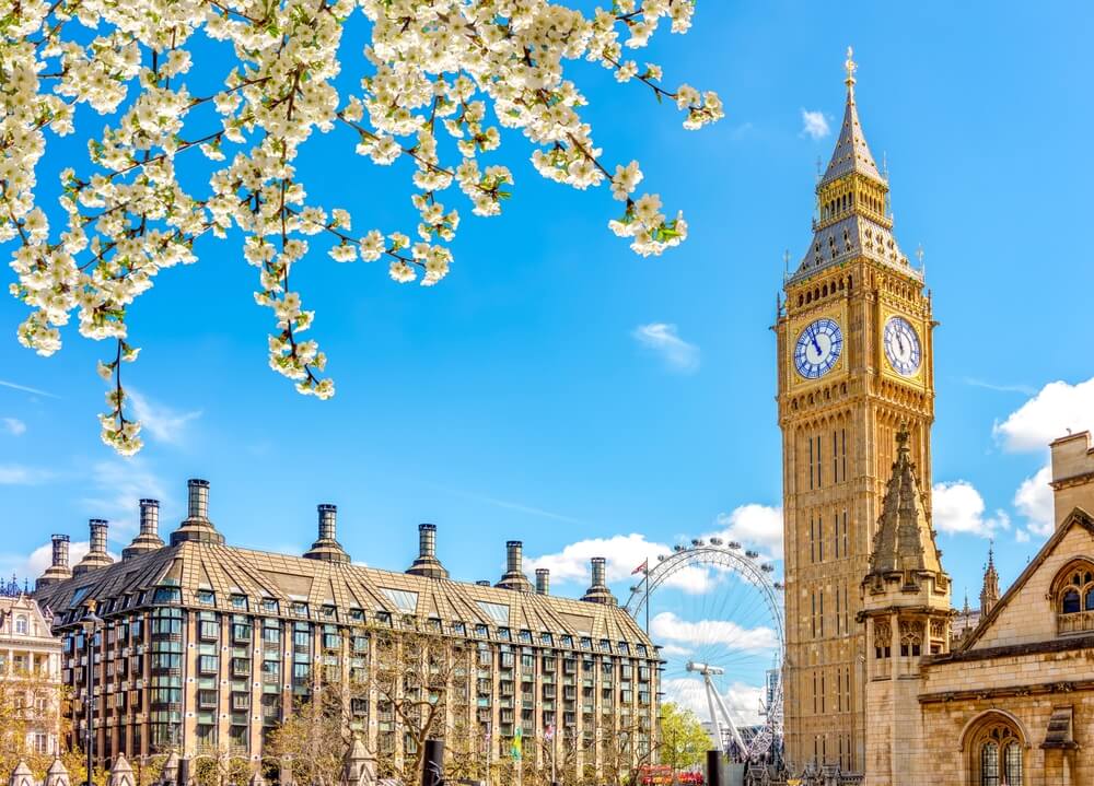 The Spring Forecast 2026